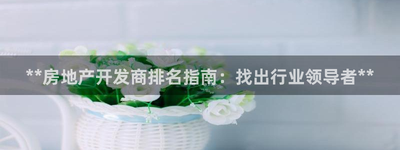 万向娱乐平台代理怎么做