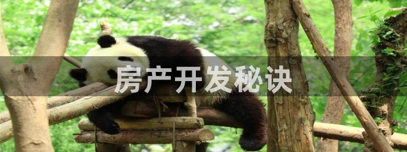 万向娱乐平台怎么下载