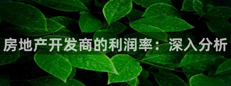 万向娱乐平台下载安装手机版