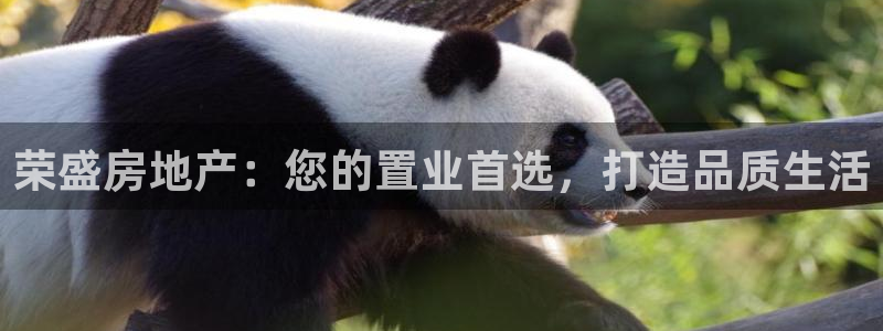 万向娱乐平台代理怎么样啊