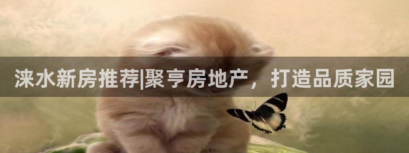 万向娱乐平台代理怎么做