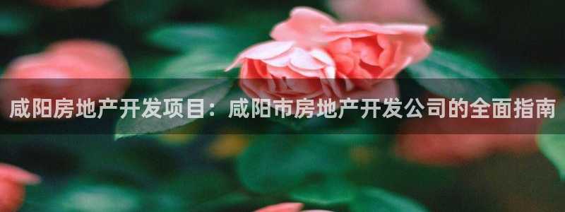 万向娱乐