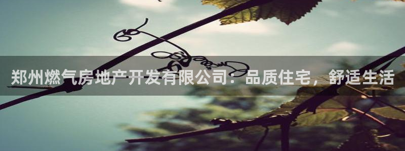 万向娱乐平台代理怎么样