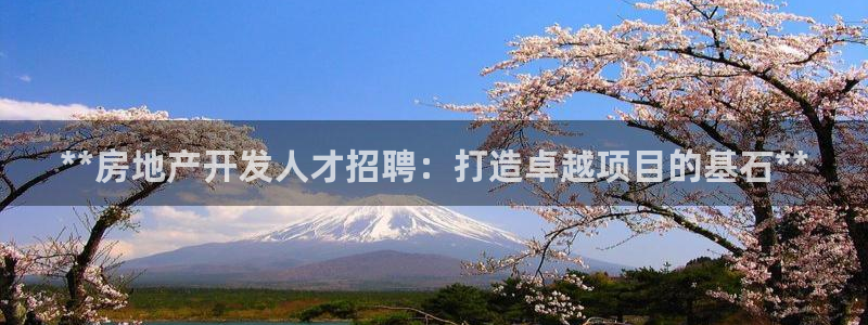 万向娱乐平台代理怎么做赚钱