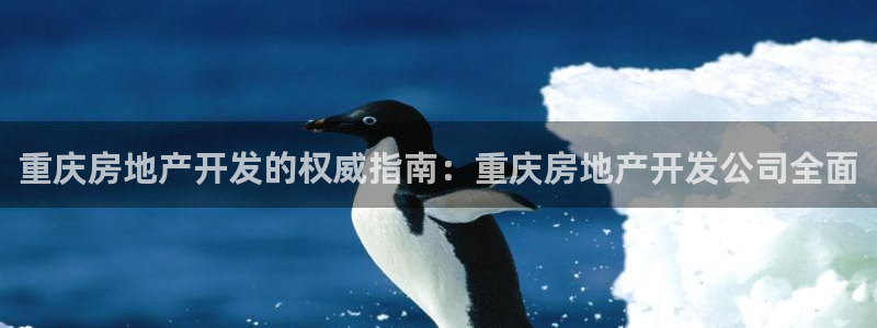 万向娱乐app下载