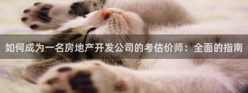 万向娱乐老板