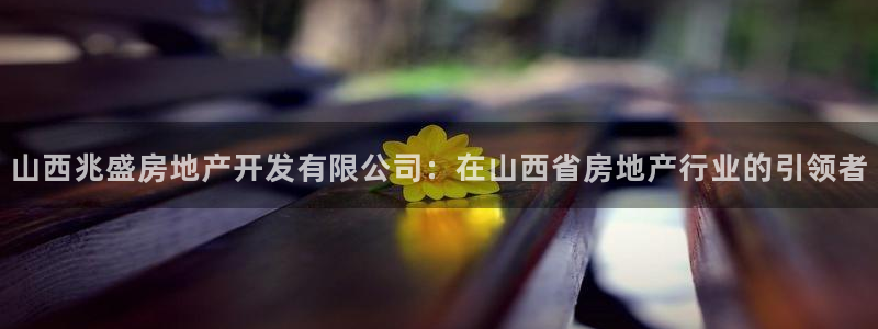 万向娱乐技术分享