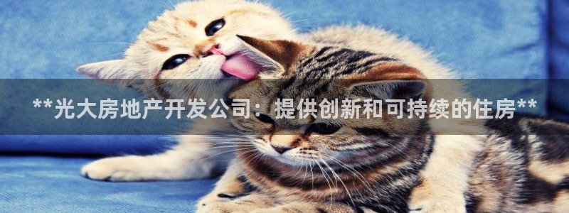 万象国际娱乐网址