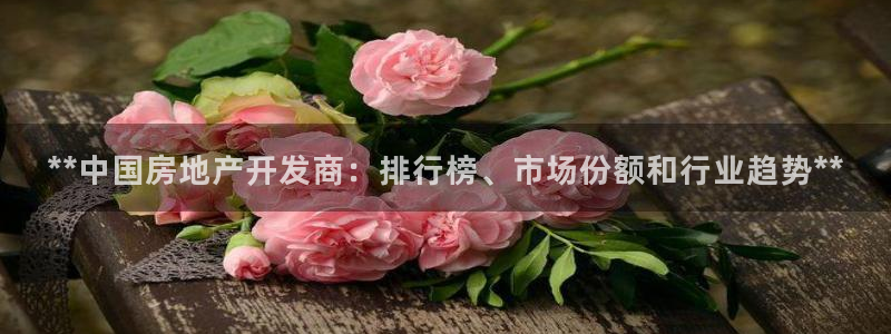 万向娱乐招商