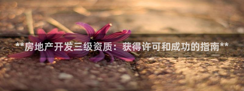 万向娱乐公司官网