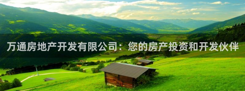 万向娱乐是野鸡台吗