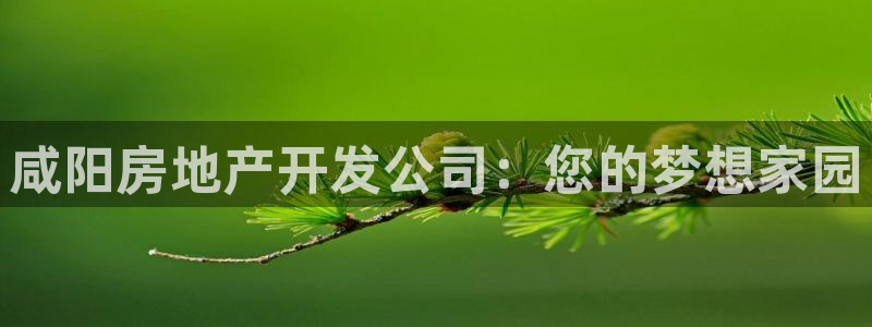 万向娱乐老板