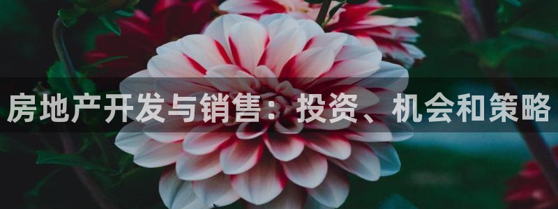 万向娱乐的494o3 主管