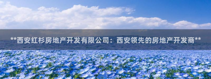 万向娱乐官网下载安卓