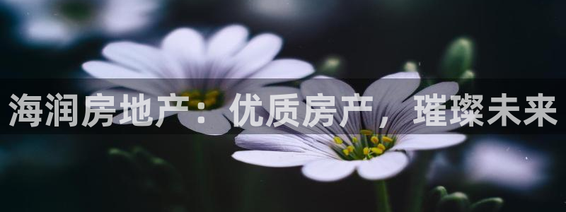 万向娱乐的联系方式是什么