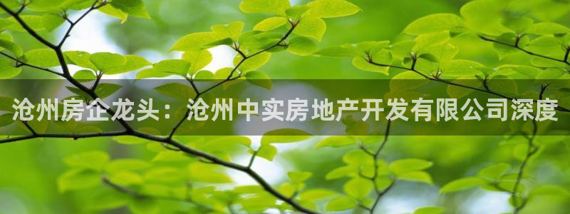 万向娱乐官网下载安卓