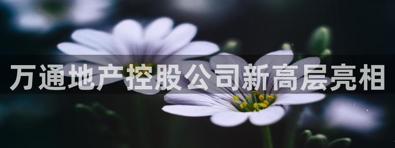 万向娱乐官网下载安装最新版