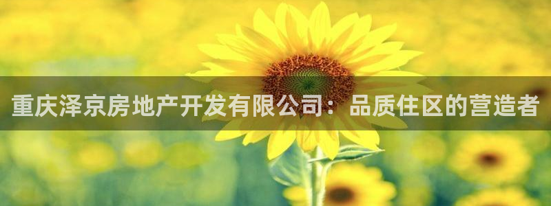 万向娱乐平台招商骗局