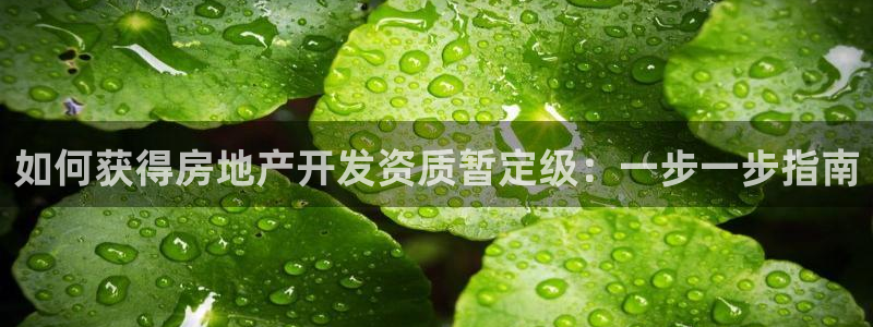 万向娱乐平台下载安装