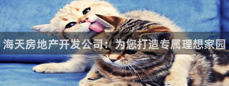 万向娱乐平台代理多少钱一个