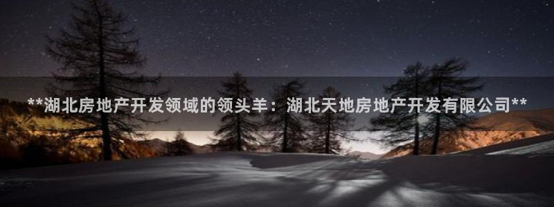 万向娱乐王者荣耀