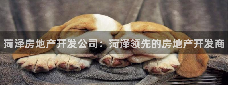 万向娱乐代理好看视频是真的吗