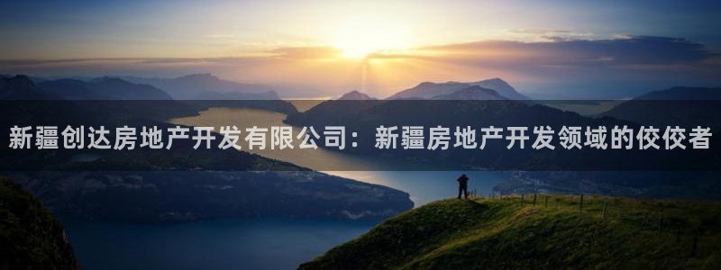 万向娱乐挂机软件