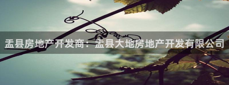 万向娱乐是野鸡台吗