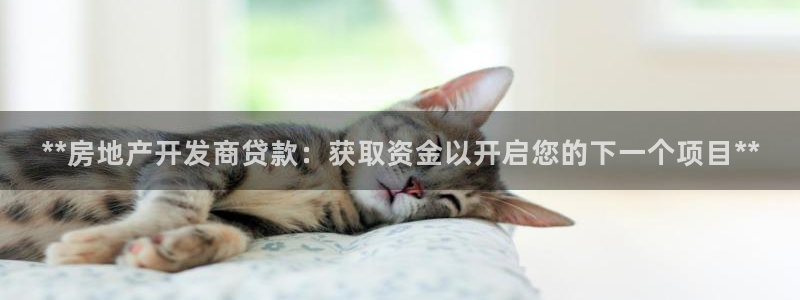 万向娱乐平台代理多少钱一个