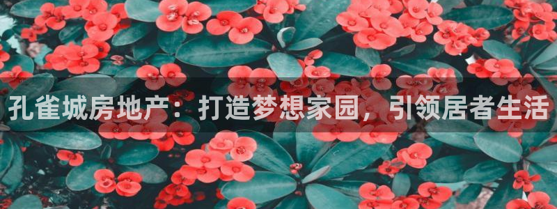 万向娱乐登陆官网