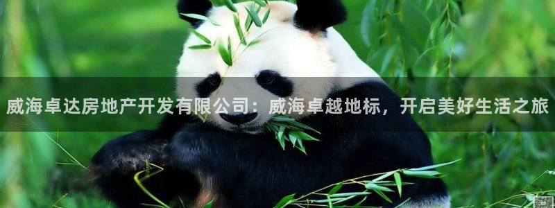 万向娱乐平台代理多少钱一年