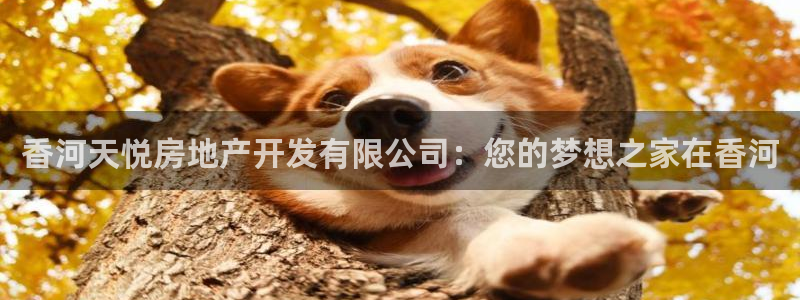 万向娱乐灯333OO