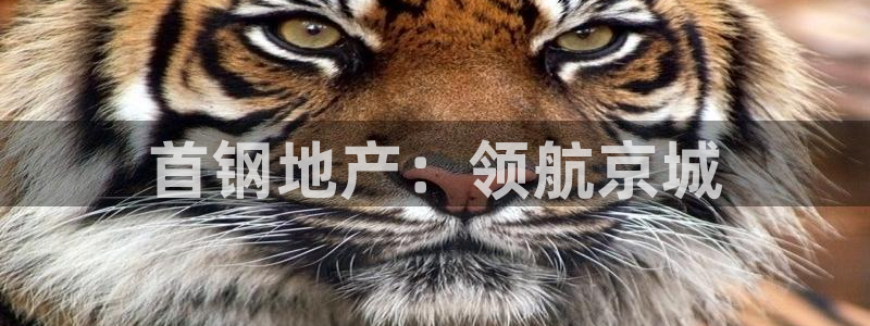 万向娱乐官网下载安装苹果