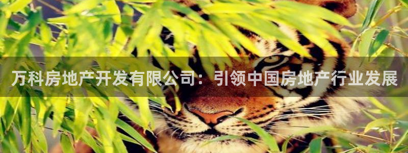 万向娱乐平台提现多久到账