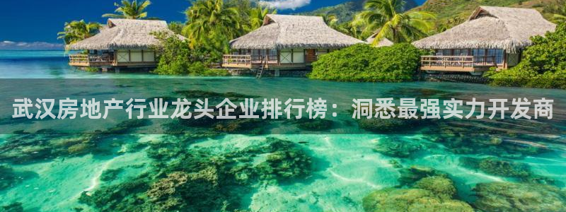 万向娱乐是哪个旗下