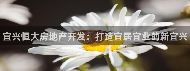 万向娱乐挂机
