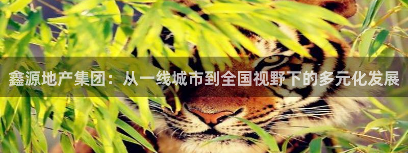 万向娱乐灯333OO