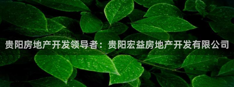 万向娱乐平台下载安装