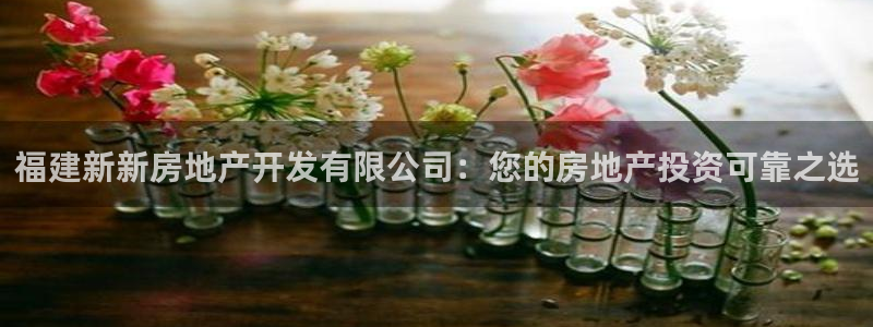 万向娱乐网址是什么