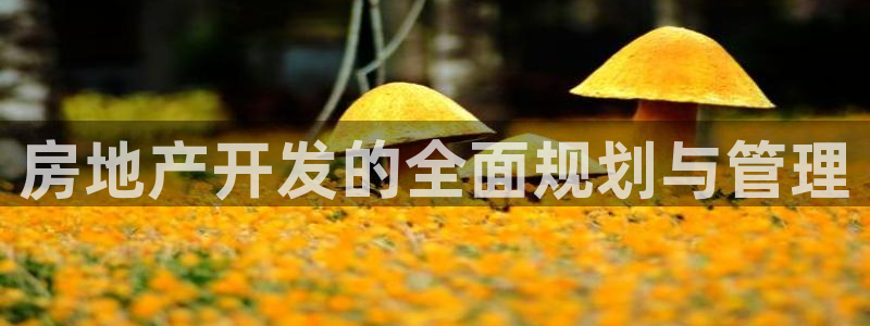 万向娱乐平台下载安装