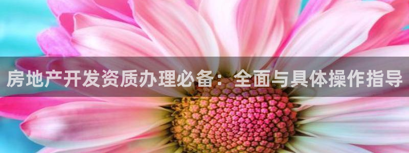 万向娱乐灯333OO