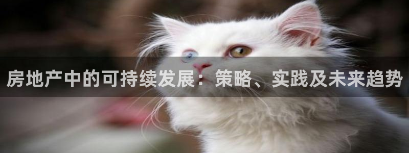 万象国际娱乐网址