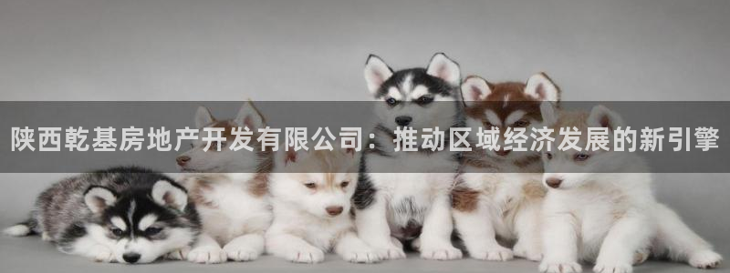 万向娱乐技术分享