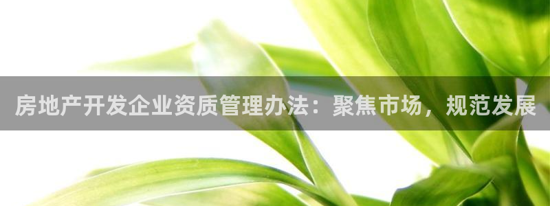 万向娱乐