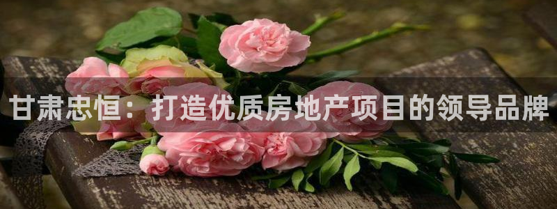 万向娱乐app