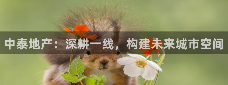 万向娱乐