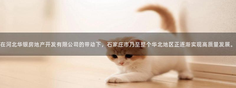万向娱乐平台代理怎么样啊