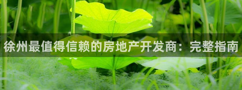 万向娱乐app